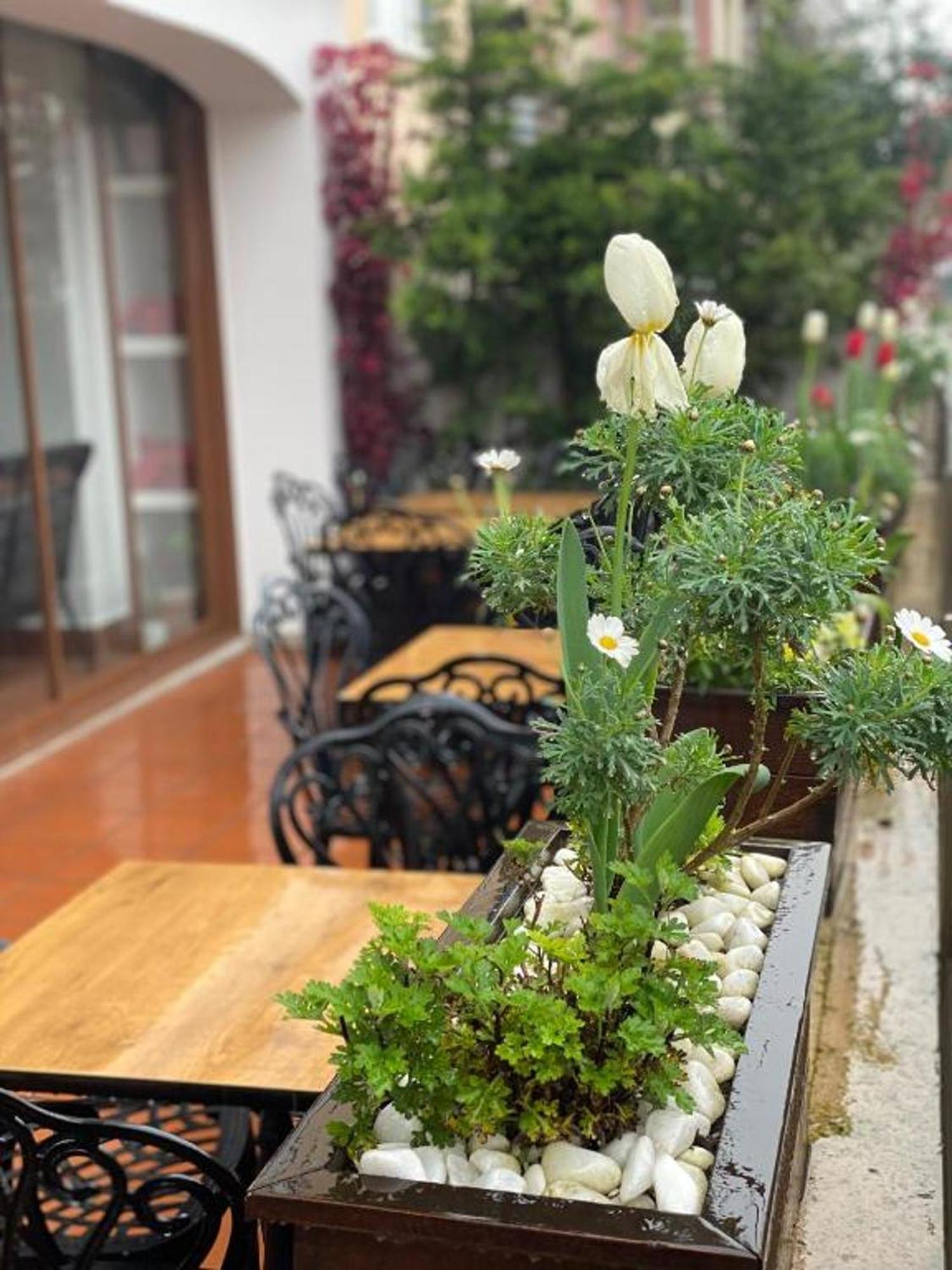 Blue Sea Hotel Trabzon Ngoại thất bức ảnh